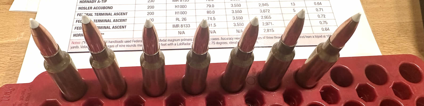 Great services are available at Sendit Arms USA in Valley City, North Dakota to help improve your rifle marksmanship abilities.